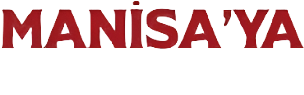 ManisaNet Logo